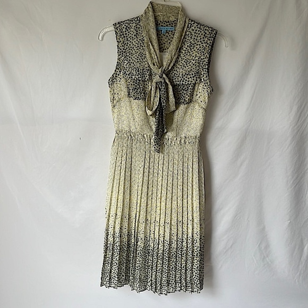 Antonio Melani Floral Ombré Pleated Chiffon Dress Size 0